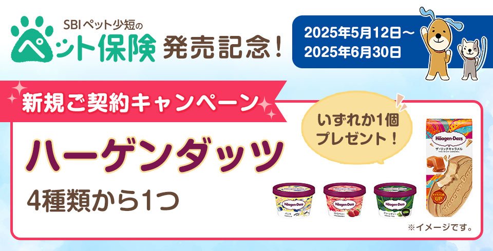キャンペーン実施中!
