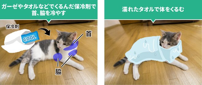 ガーゼやタオルなどでくるんだ保冷剤で首、脇を冷やす　濡れたタオルで体をくるむ