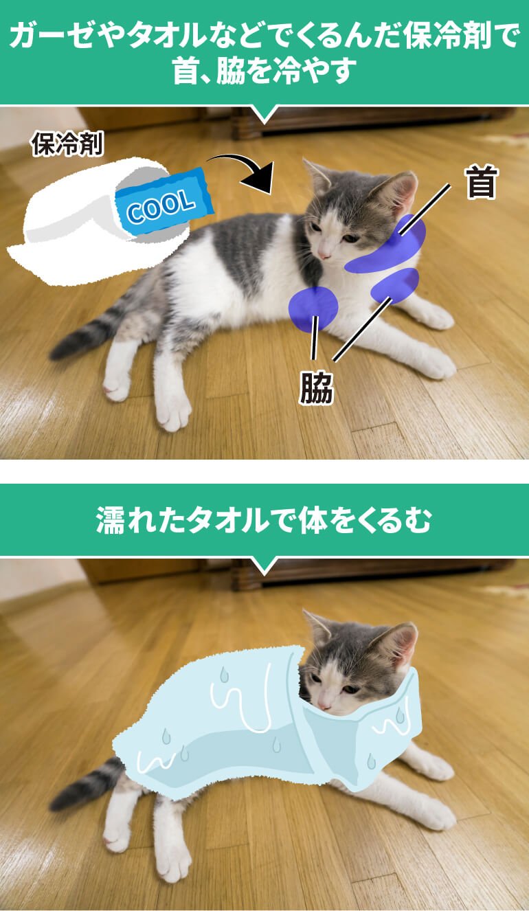 ガーゼやタオルなどでくるんだ保冷剤で首、脇を冷やす　濡れたタオルで体をくるむ