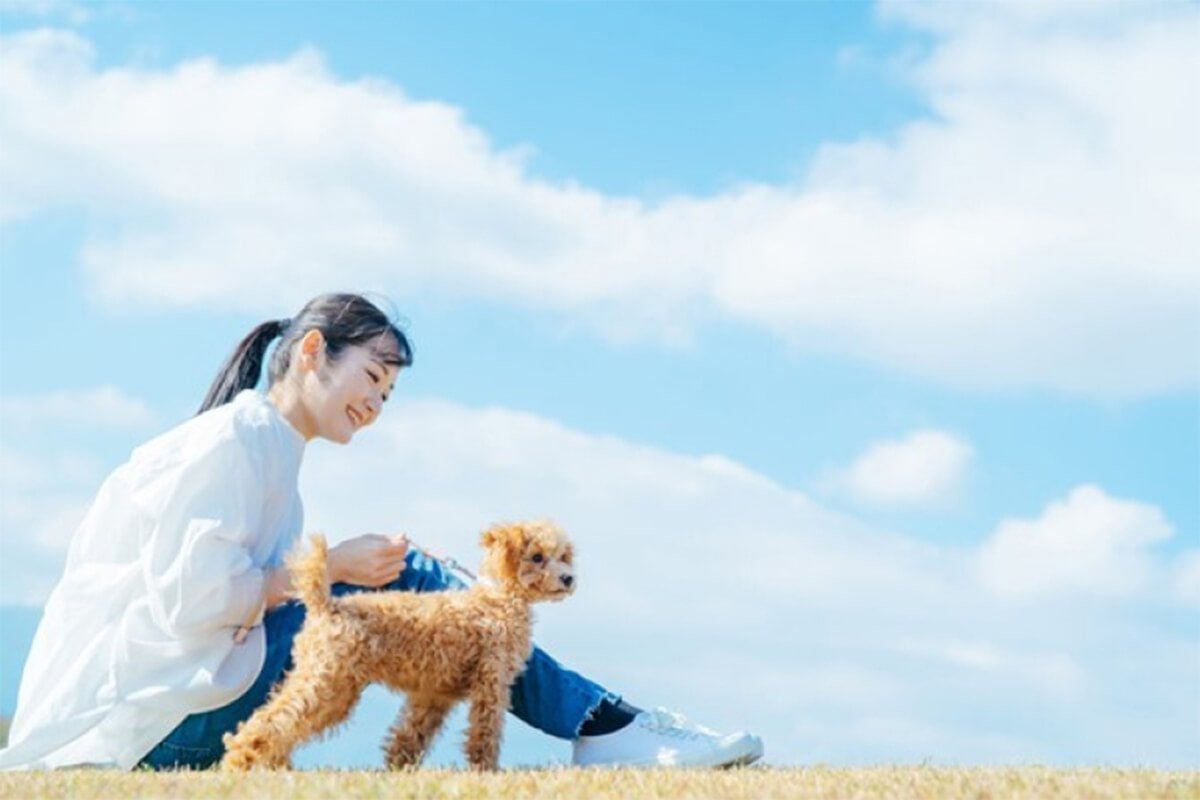 散歩する犬
