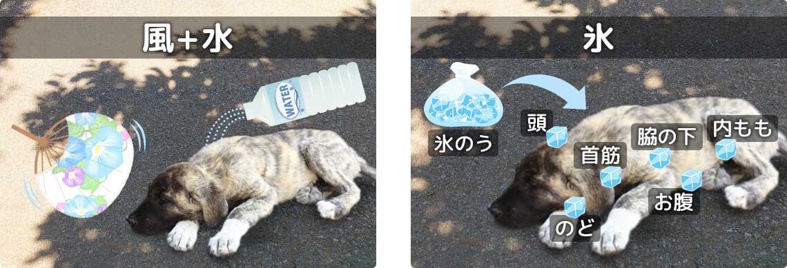 応急処置解説