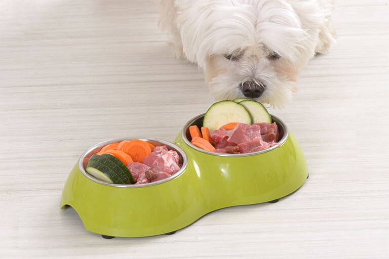 食べ物のにおいを嗅ぐ犬
