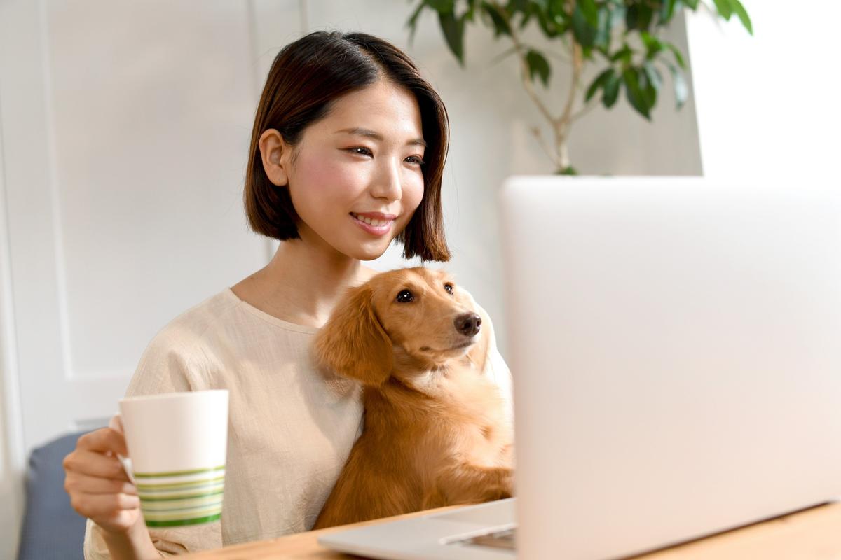 お茶を飲みながらパソコンで愛犬のペット保険を調べる女性
