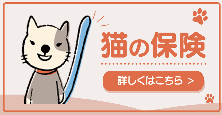 猫の保険