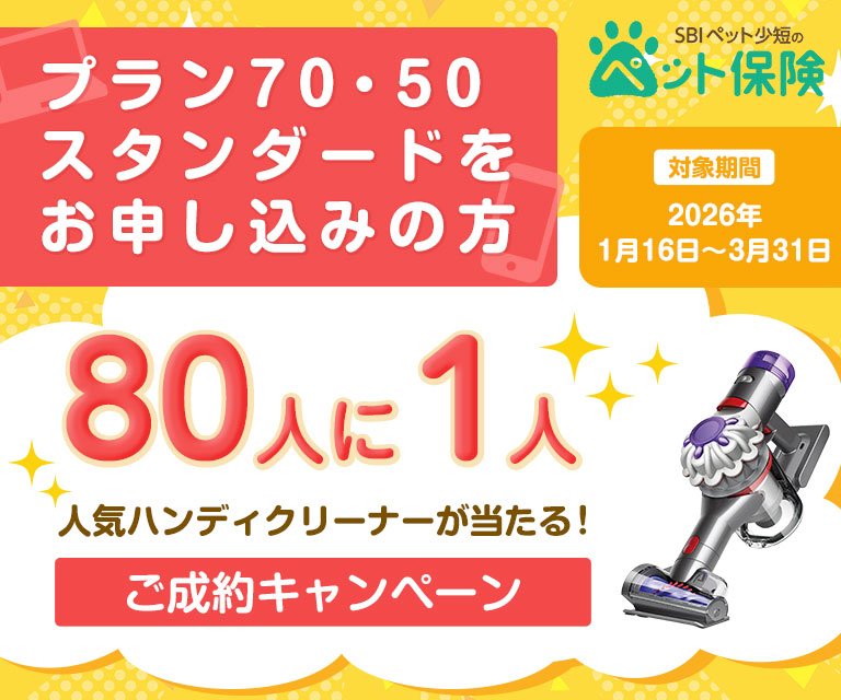 80人に1人、人気ハンディクリーナーが当たる！ご成約キャンペーン
