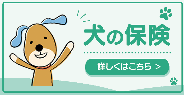 犬の保険