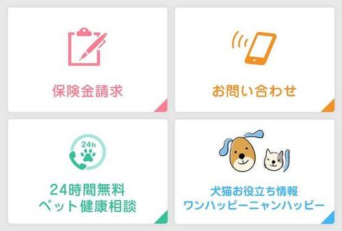 ステップ（１）