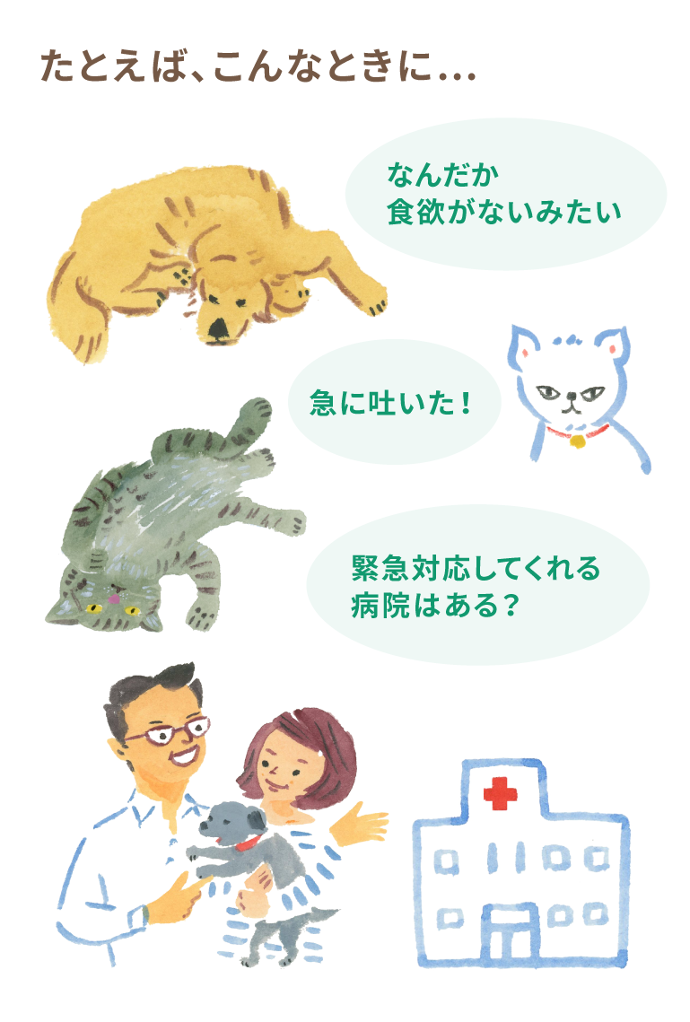 【おすすめ】プラン70スタンダード