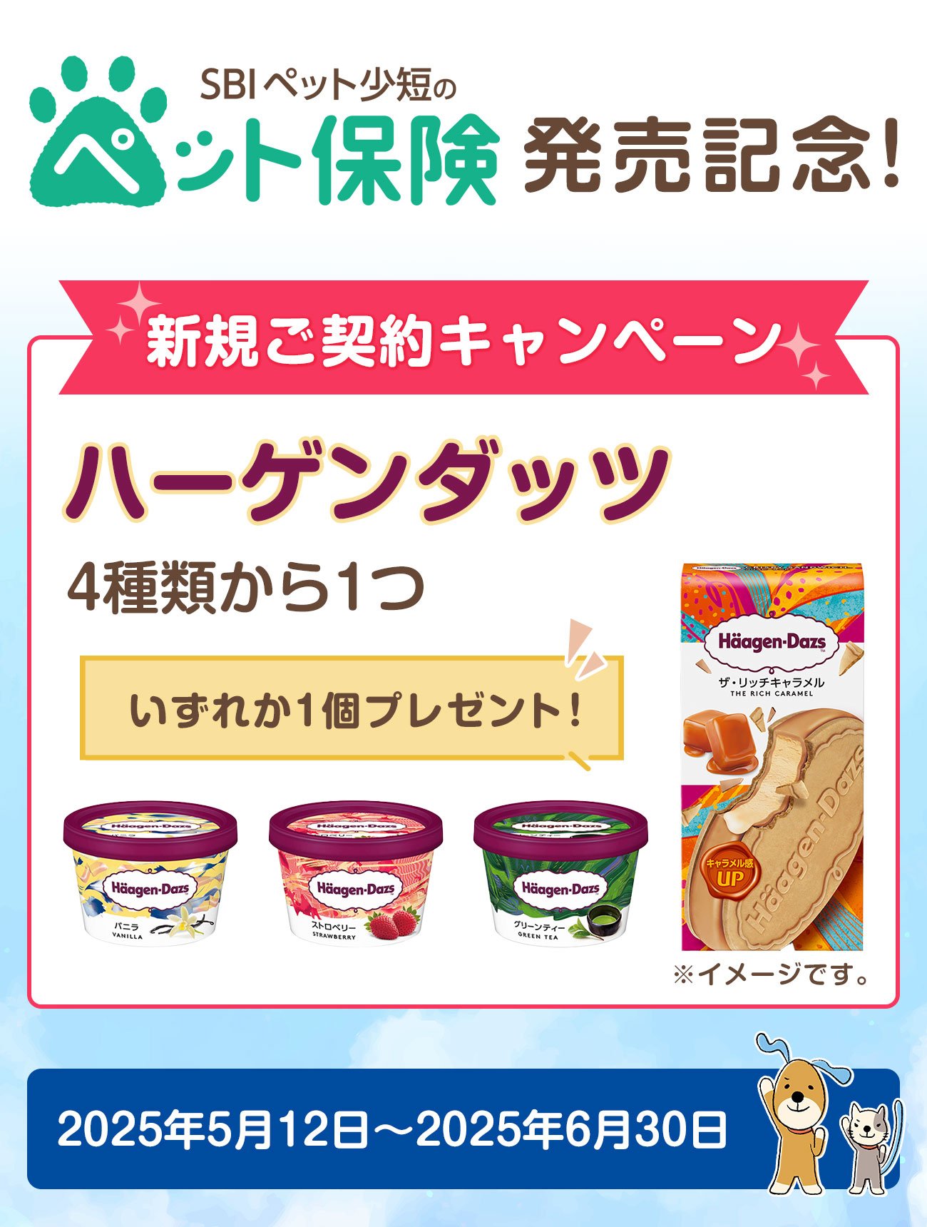 「SBIペット少短のペット保険」発売記念！新規ご契約キャンペーン 実施中！