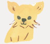 チワワ