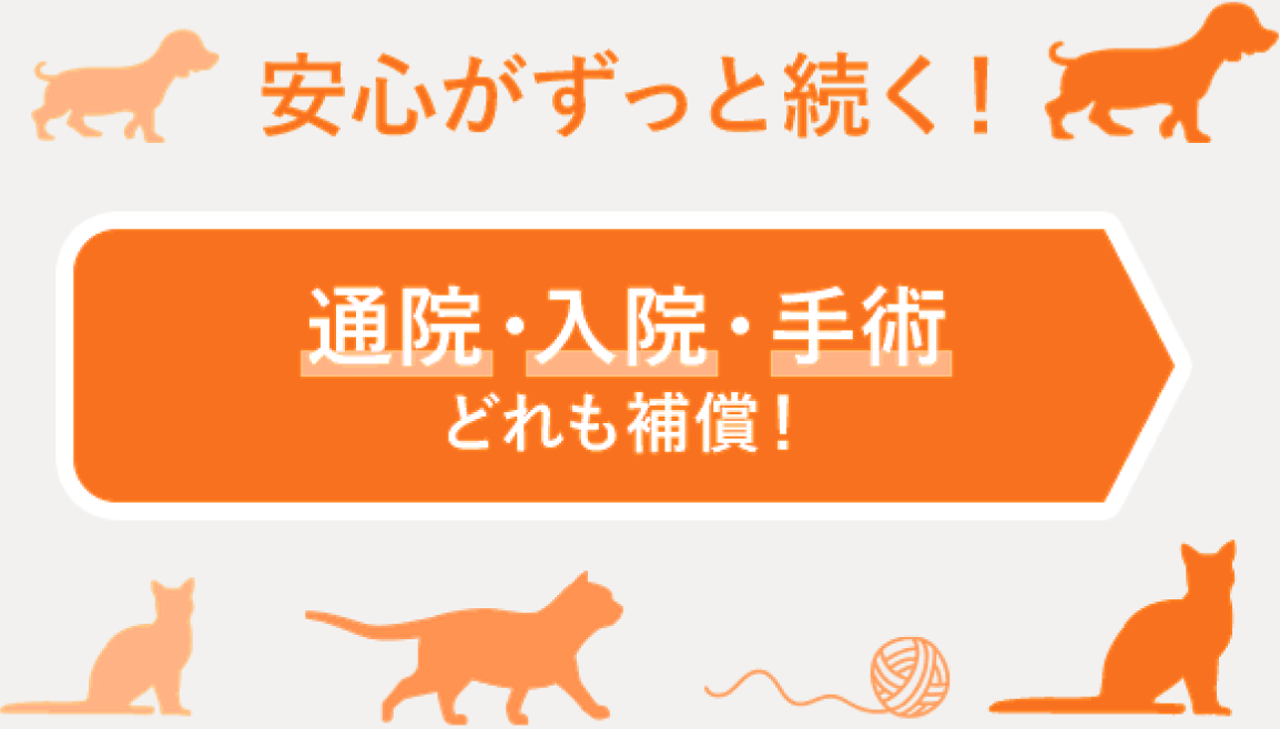 安心がずっと続く！通院・入院・手術どれも補償！