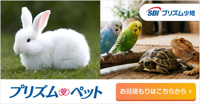プリズムペット　小動物｜鳥｜爬虫類コース