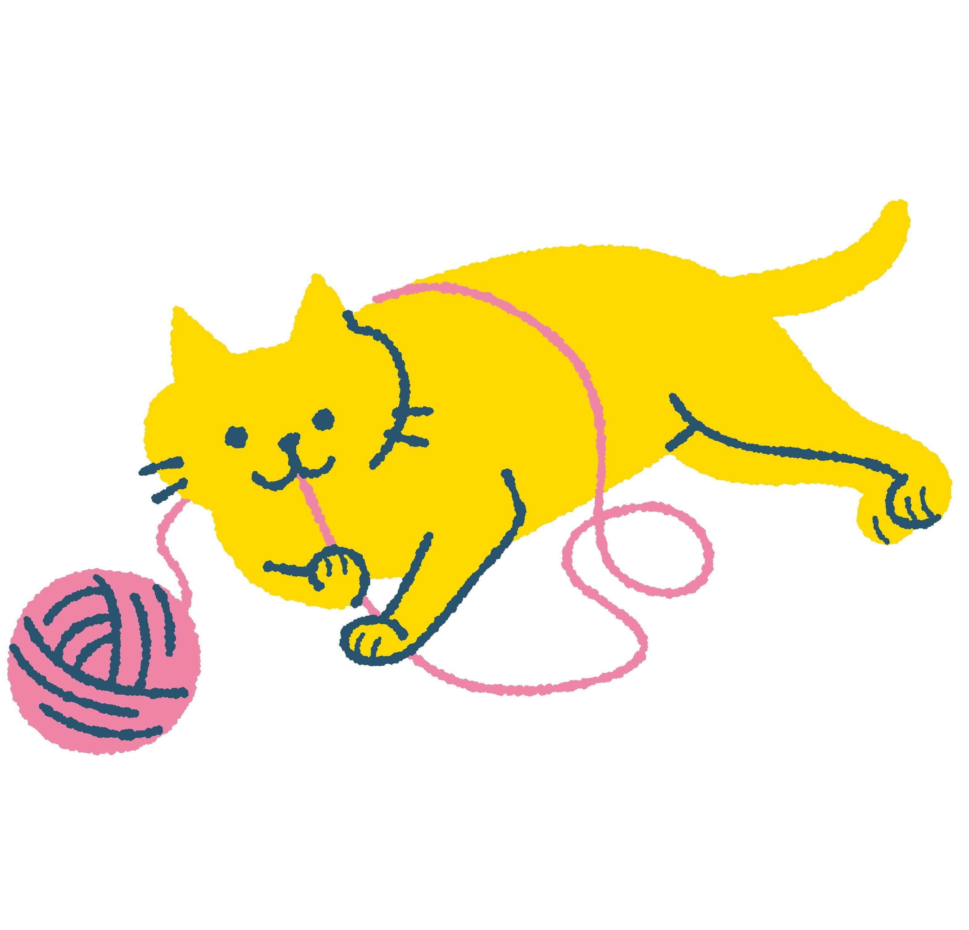 室内飼いの猫