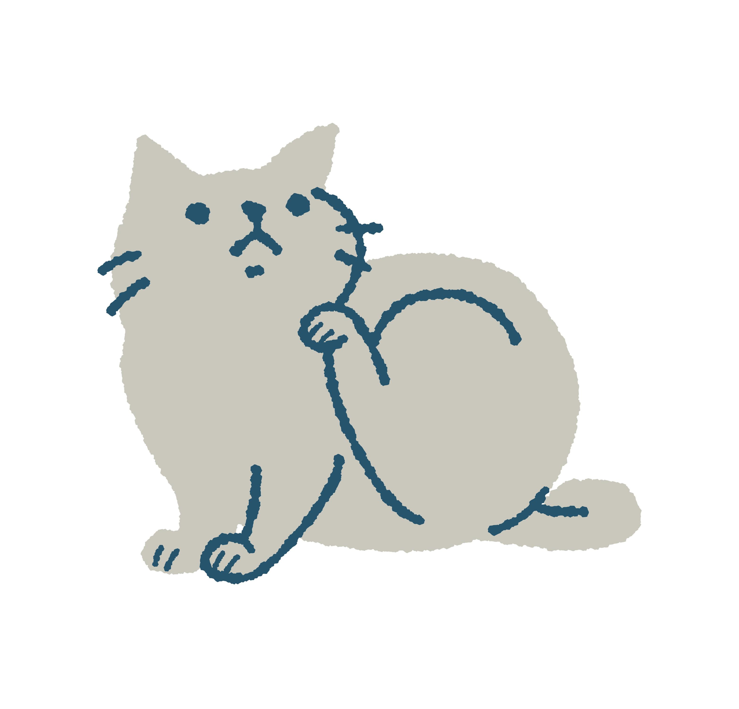 室外飼いの猫
