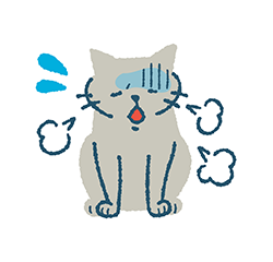 慢性病の猫