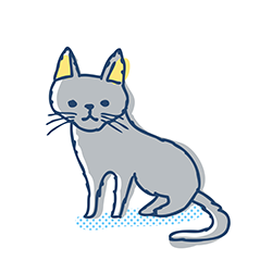 老齢の猫
