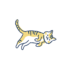 幼年・若年期の猫