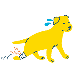 骨折した犬