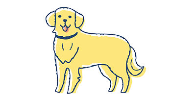 大型犬のイメージ
