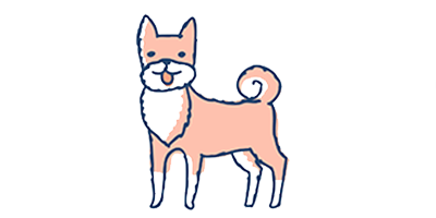 中型犬のイメージ