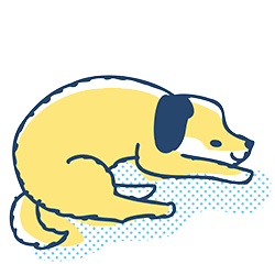 皮膚炎の犬