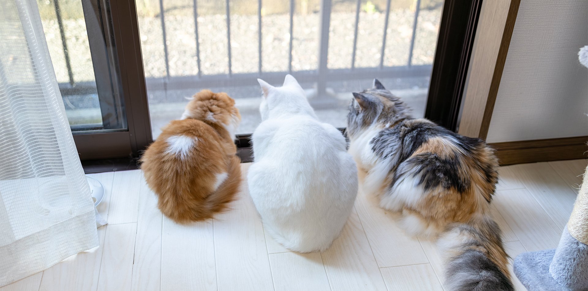 保険選びの3つの視点イメージ