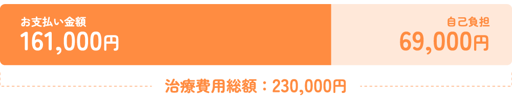 治療費総額に対する保険金支払いのイメージ図