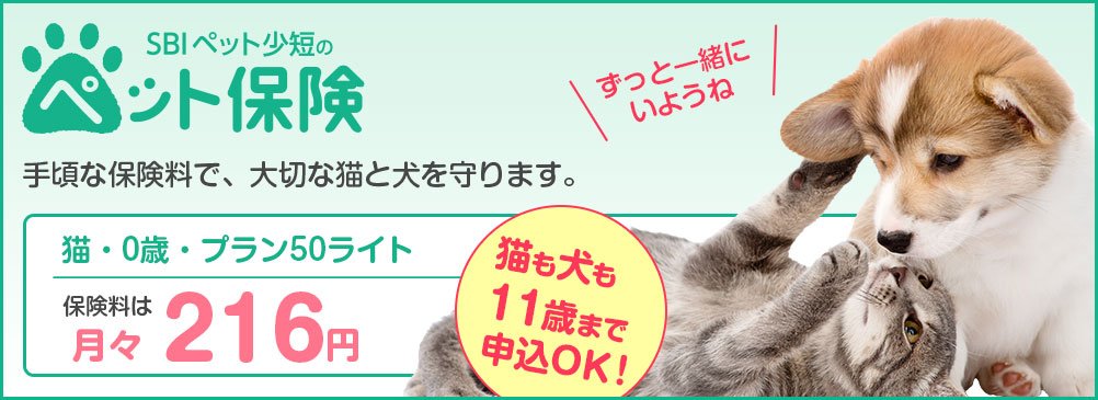SBIペット少短のペット保険