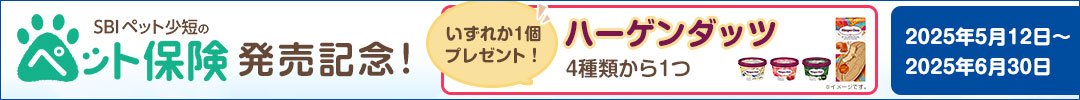 2025プレゼントキャンペーン