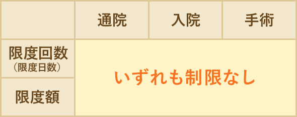 通院　入院　手術　限度回数（限度日数）　限度額　いずれも制限なし