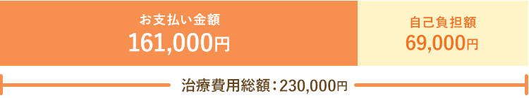お支払い金額　161,000円　自己負担額　69,000円　治療費用総額：230,000円