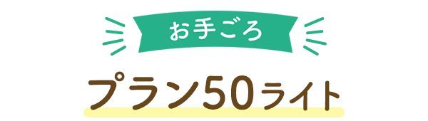 お手ごろプラン50ライト