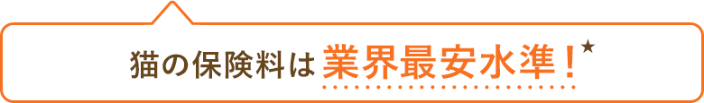 猫の保険料は業界最安水準！