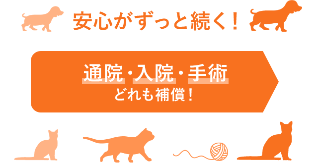 安心がずっと続く！通院・入院・手術どれも補償！