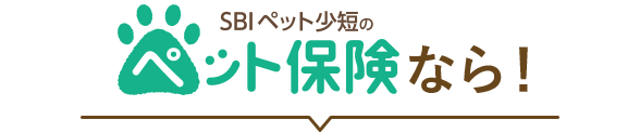 SBIペット少短のペット保険なら！