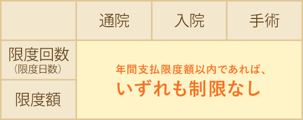 通院　入院　手術　限度回数（限度日数）　限度額　いずれも制限なし