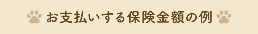 お支払いする保険金額の例